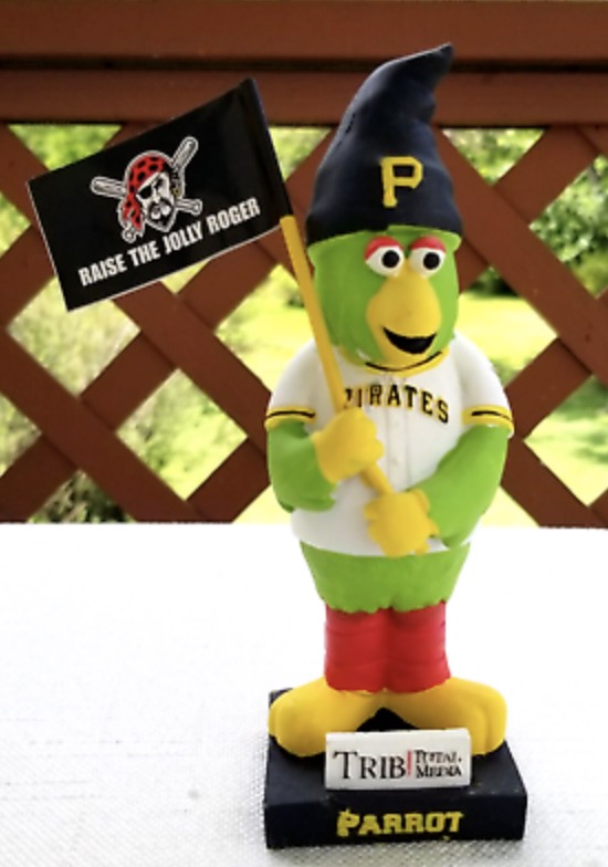 Pirate Parrot (Gnome) bobblehead