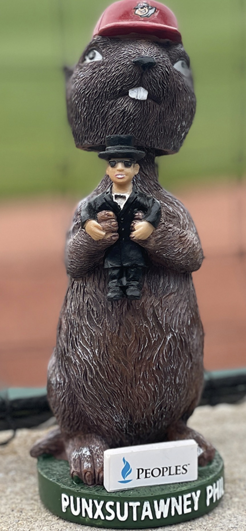 Punxsutawney Phil bobblehead