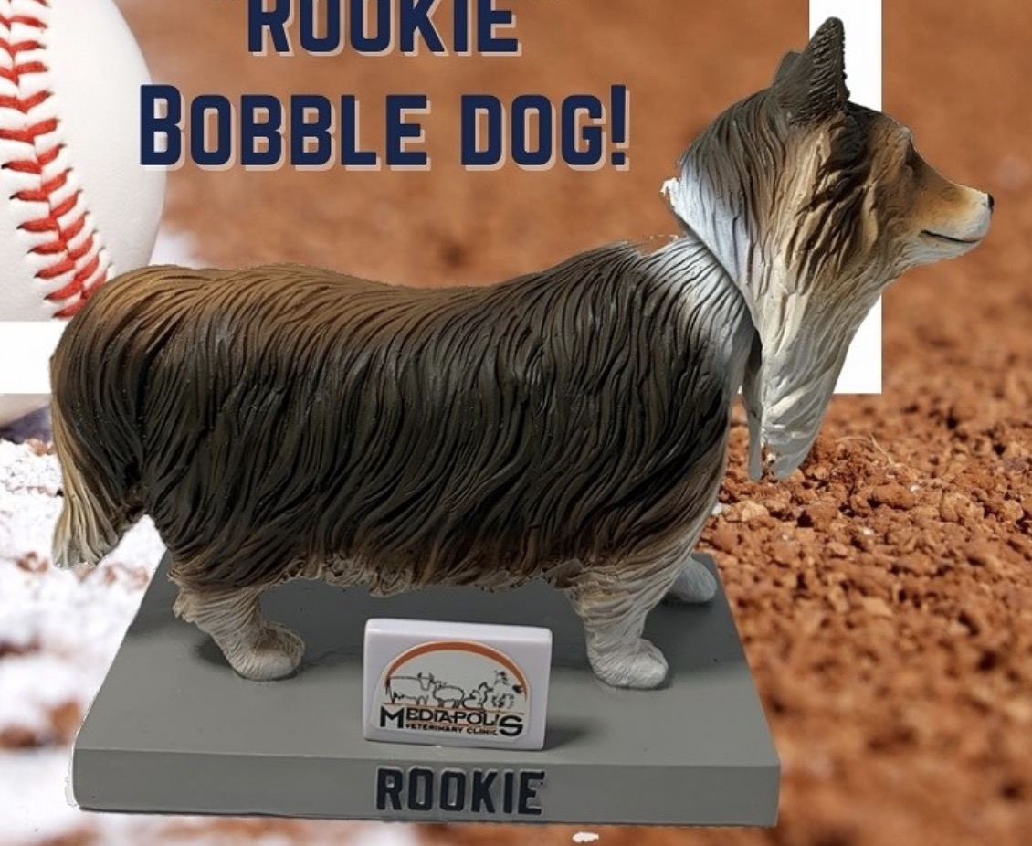 Rookie bobblehead