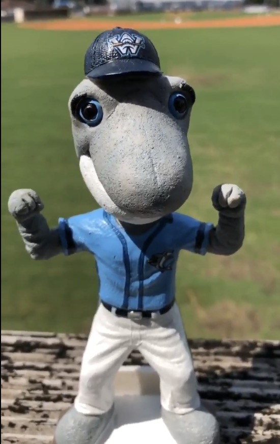 Sharky bobblehead